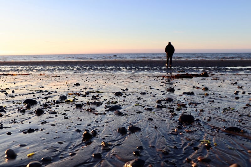 Ecotherapy Walks